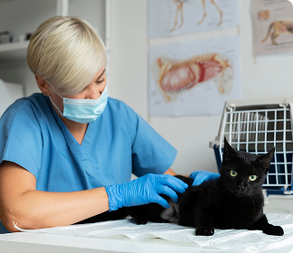 Ветеринарные клиники